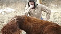 Visuel de Bizarre ou pas ?
