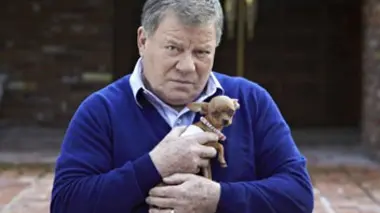 Etranges comportements d'animaux