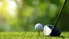 Black Desert Championship Golf Circuit américain 2024
