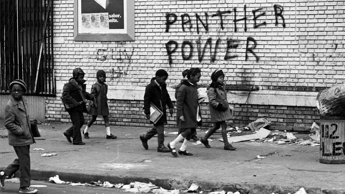 Black Panthers : la genèse
