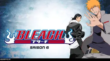 L'éparpillement d'Hitsugaya ! Hyourinmaru brisé