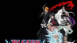 Bleach S13E08 Soi Fon, entourant le Zanpakuto