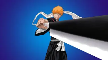 Bleach S01E04 Perroquet maudit
