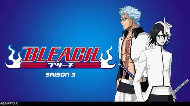 Bleach S03E09 L'éveil du lion