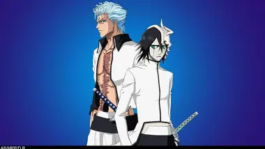 Bleach S05E13 La lutte de la 10e Division, l'éveil de Hyourinmaru