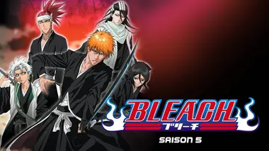 Bleach S14E51 Les vacances de Hitsugaya Toshiro