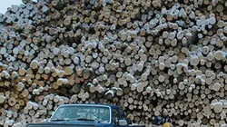 Visuel de Bleu tonnerre