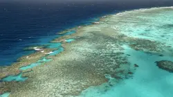 Bleu, un océan de solutions L'Australie, la grande barrière de corail
