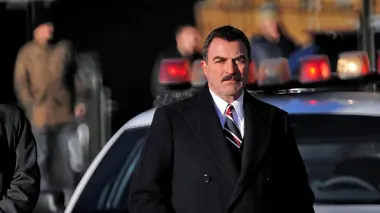 Oiseau de nuit