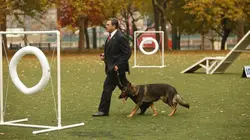 Blue Bloods S04E09 Le piège des apparences