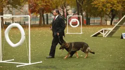 Blue Bloods S04E09 Le piège des apparences