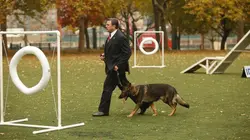 Blue Bloods S04E09 Le piège des apparences