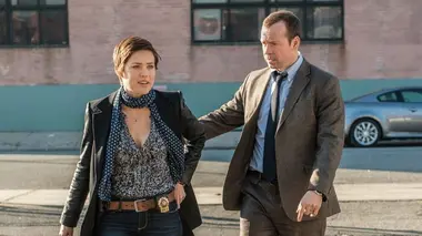 Blue Bloods S03E13 La déesse et les rats