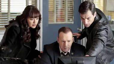 Blue Bloods S06E19 L'appât
