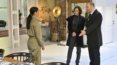 Blue Bloods S10E18 A la vue de tous