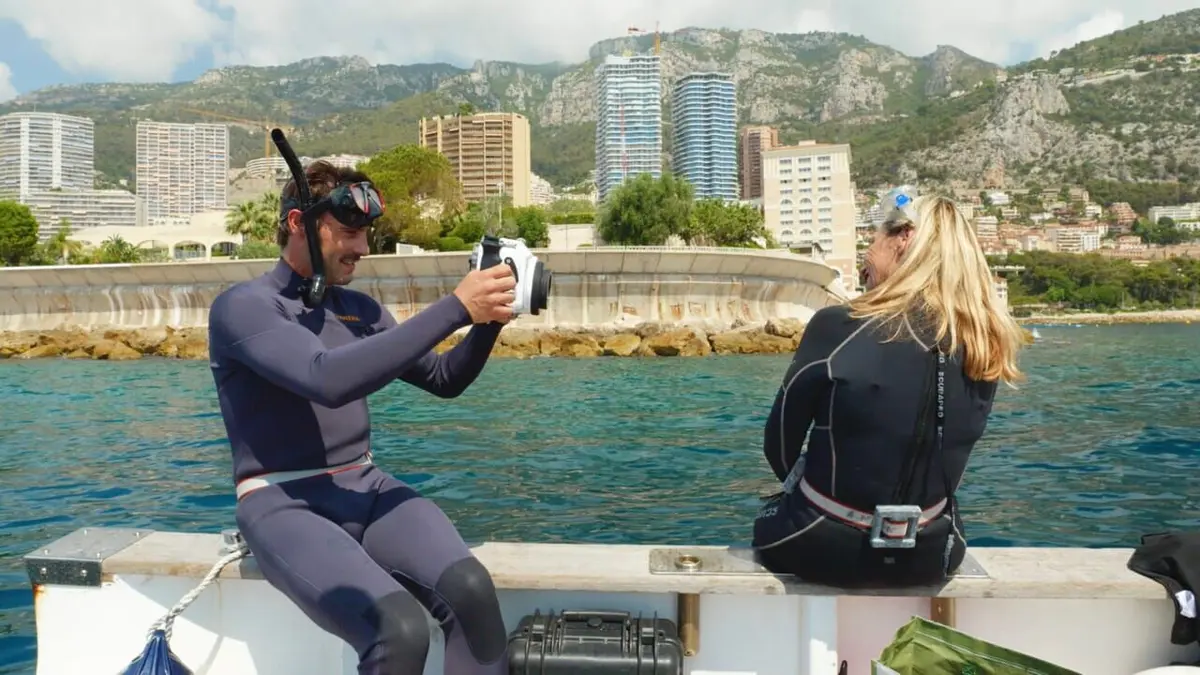 Visuel de Blue Brésil