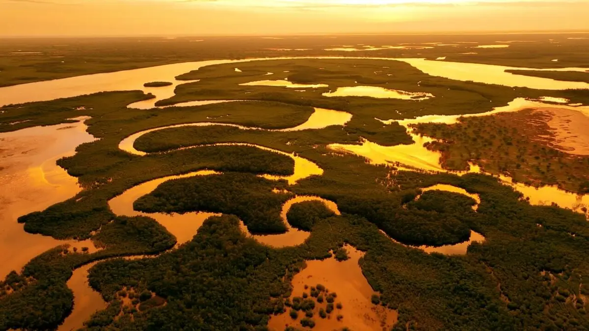 Blue Carbon - Le super-pouvoir de la nature