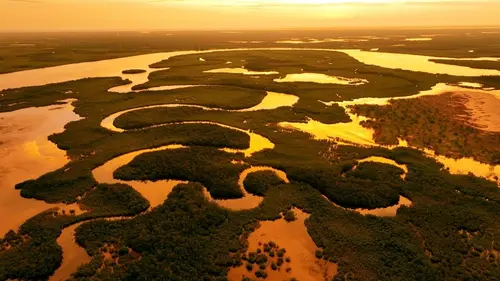 Blue Carbon - Le super-pouvoir de la nature