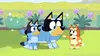 Bluey S03E11 Le chien de berger