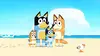 Bluey S1 Ep 30