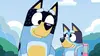 Bluey S02E08 C'est papa qui nous emmène !