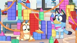 Bluey Minisodes S01E10 Les cubes