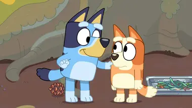 Bluey S01E13 Les espions