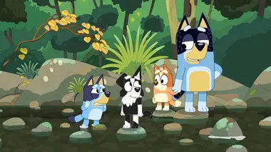 Bluey S01E29 La crique