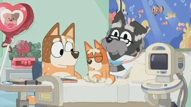 Bluey S01E32 Bumpy et le vieux lévrier sage
