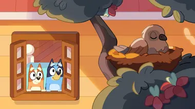 Bluey S03E01 La chambre