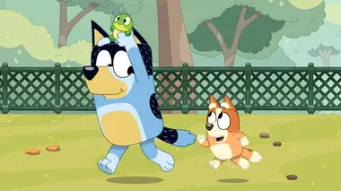Bluey S03E30 Bébé tortue