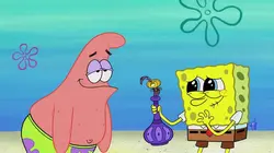 Visuel de Bob l'éponge