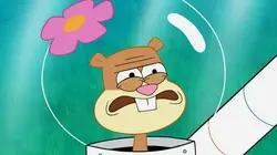 Bob l'éponge S05E15 L'île de l'enfer / Le test du survivant