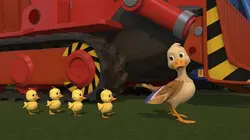 Bob le bricoleur S21E19 Ben et les canetons