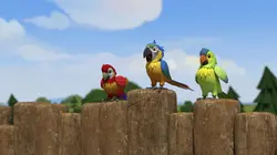 Bob le bricoleur  S21E09 Les perroquets