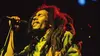 Bob Marley, dans le coeur des Français