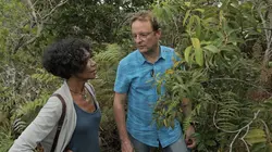 Bois de rempart, une plante assassine de la Réunion
