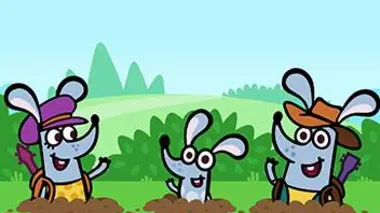 Le camping de l'aventure