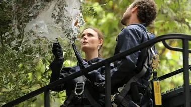 Bones S08E11 L'archéologue et la grande découverte