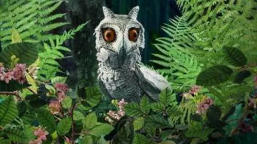 Bonjour le monde ! Le combattant