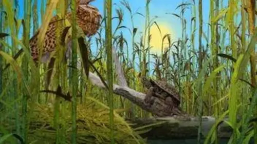 Bonjour le monde ! La maîtresse du temps