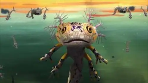 Bonjour le monde ! De l'autre côté du miroir