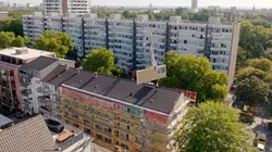 Visuel de Bonnes nouvelles de la planète