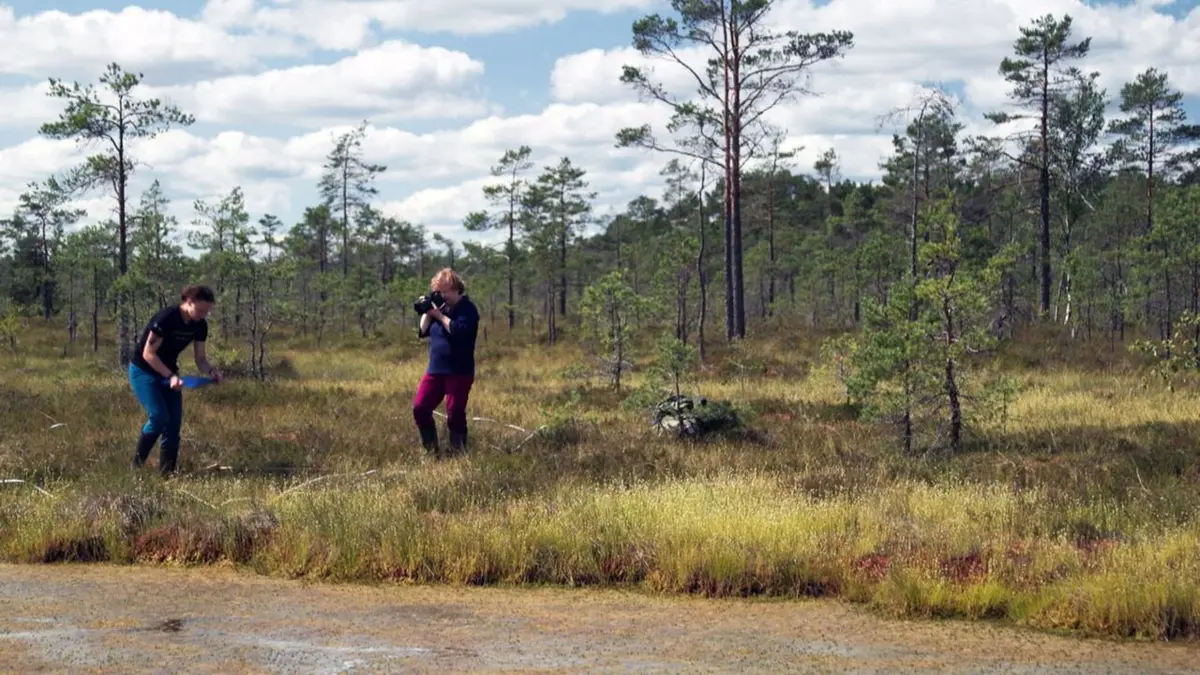 Bonnes nouvelles de la planète Protéger les marais, landes et prairies