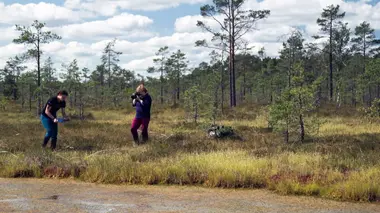Protéger les marais, landes et prairies