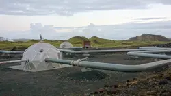 Bonnes nouvelles de la planète