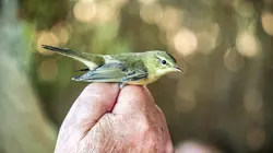 Bonnes nouvelles de la planète