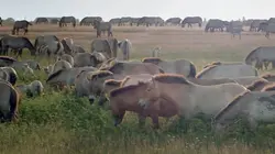 Bonnes nouvelles de la planète
