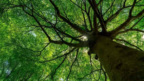 Casting Bonnes nouvelles de la planète