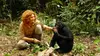 Beni dans Bonobos (2011)